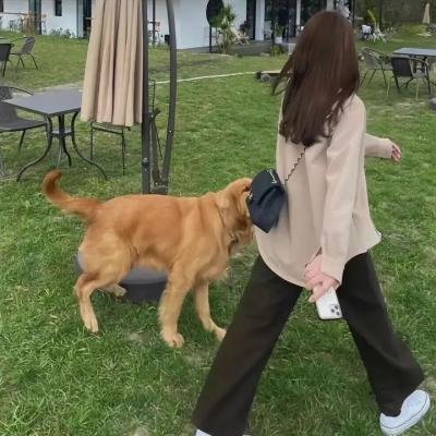 人生那有那么幸运